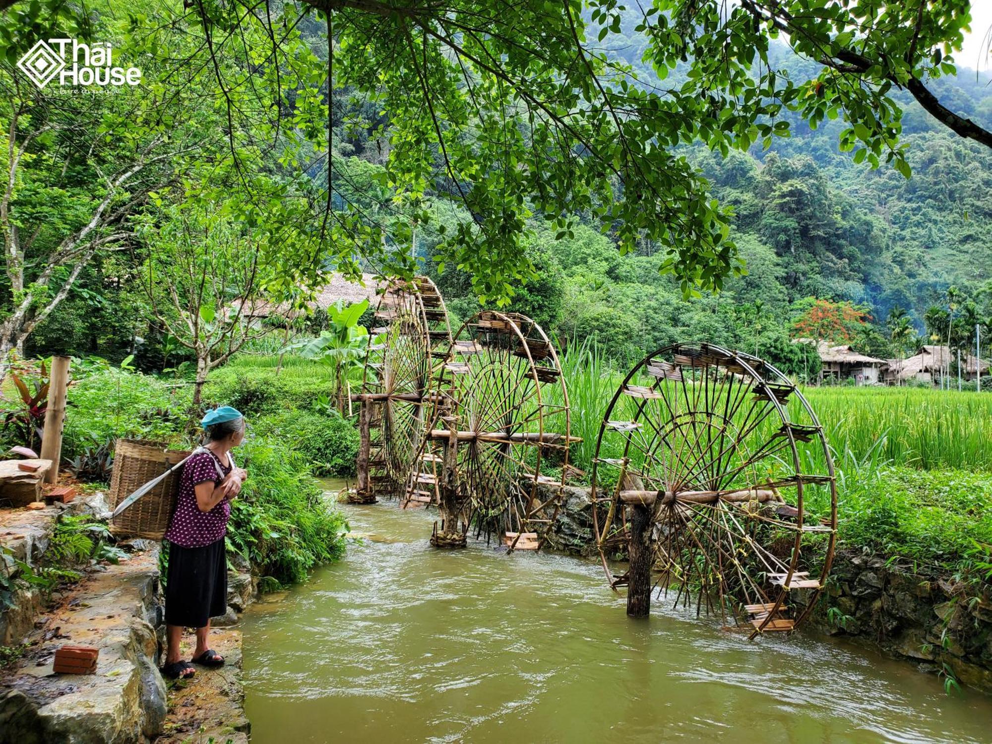 Thai House Pu Luong - Century Old Stilt House With Terrace Views Huong Ba Thuoc Ngoại thất bức ảnh