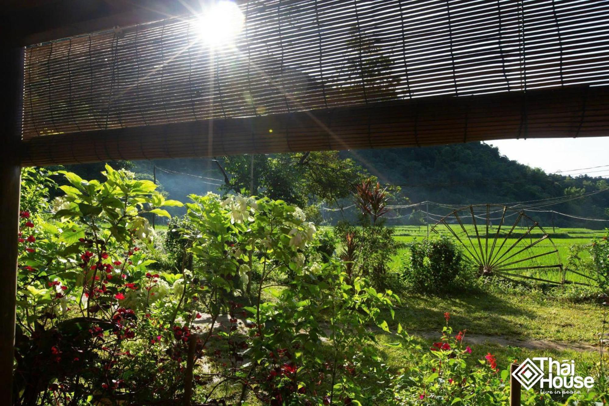 Thai House Pu Luong - Century Old Stilt House With Terrace Views Huong Ba Thuoc Ngoại thất bức ảnh