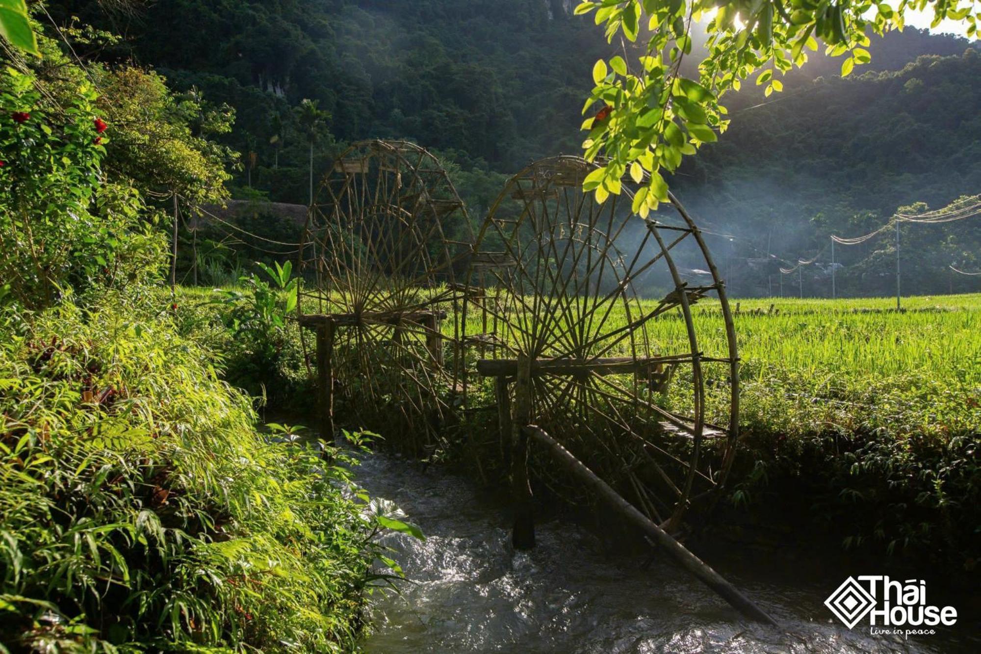 Thai House Pu Luong - Century Old Stilt House With Terrace Views Huong Ba Thuoc Ngoại thất bức ảnh