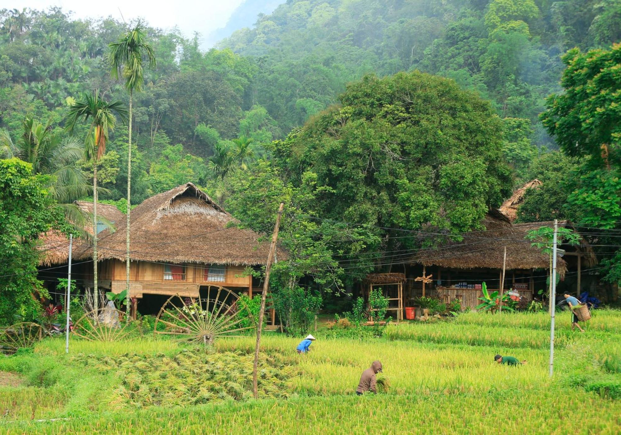 Thai House Pu Luong - Century Old Stilt House With Terrace Views Huong Ba Thuoc Ngoại thất bức ảnh